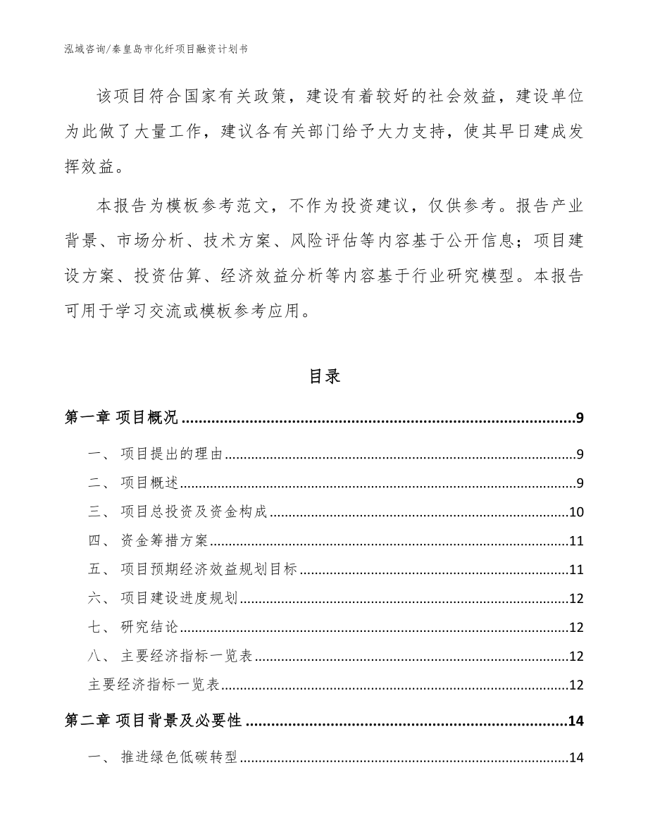 秦皇岛市化纤项目融资计划书【模板范文】_第3页