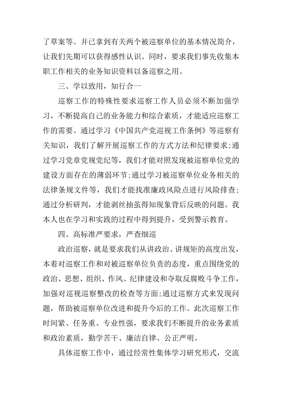 巡察工作总结（个人）_第2页