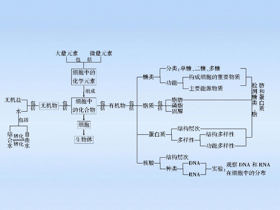 2012届高中生物第一轮复习组成细胞的分子课件.ppt_第2页