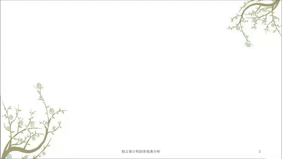 独立审计和财务报表分析课件_第3页