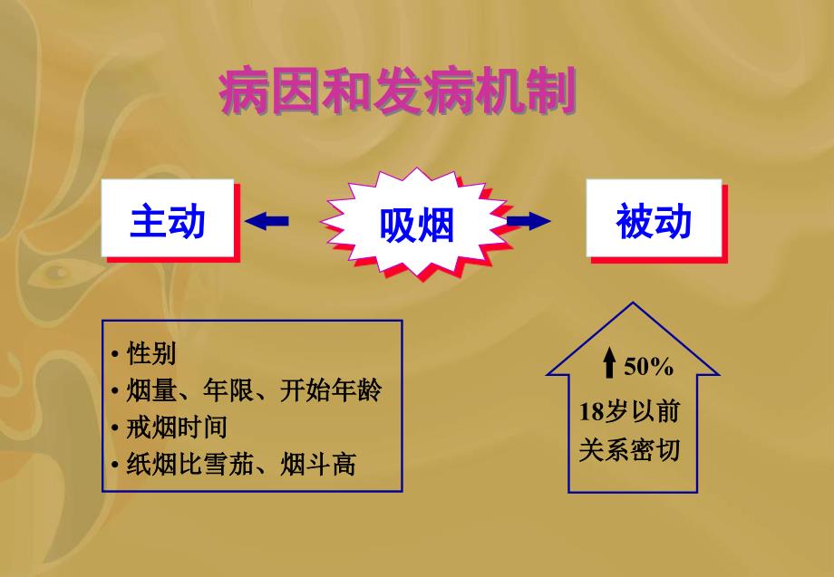 原发性支气管肺癌讲课用_第3页