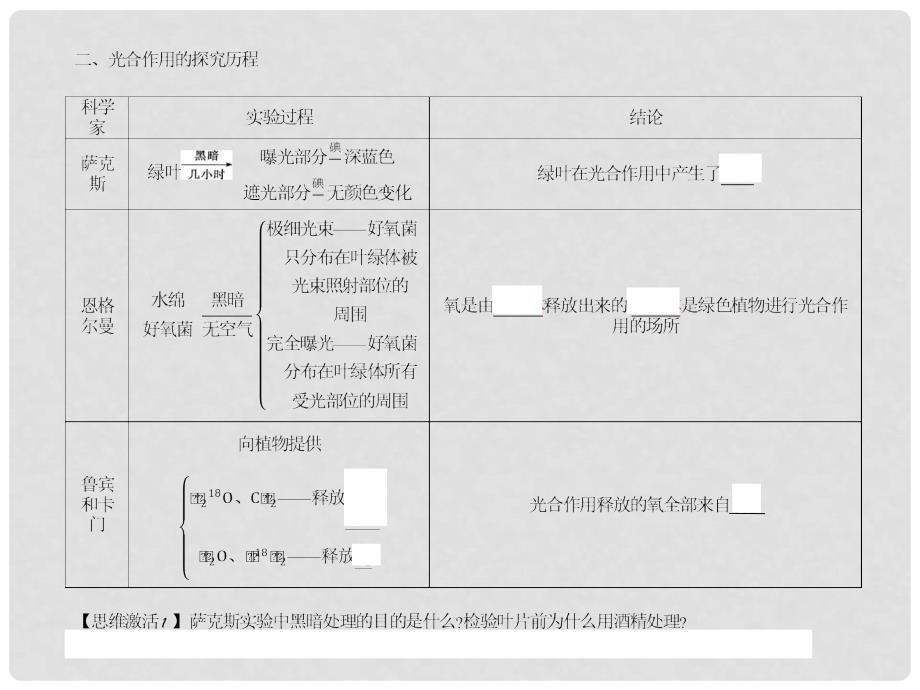 四川省成都市高考生物第五章课件3 新人教版必修1_第4页