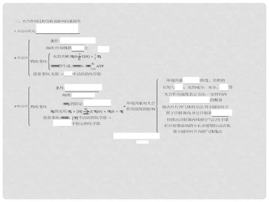 四川省成都市高考生物第五章课件3 新人教版必修1_第5页