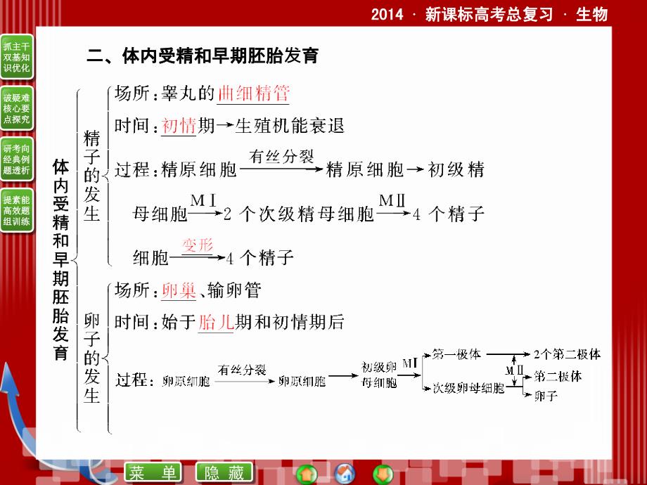 新课标高考生物总复习配套课件：选修33胚胎工程_第3页