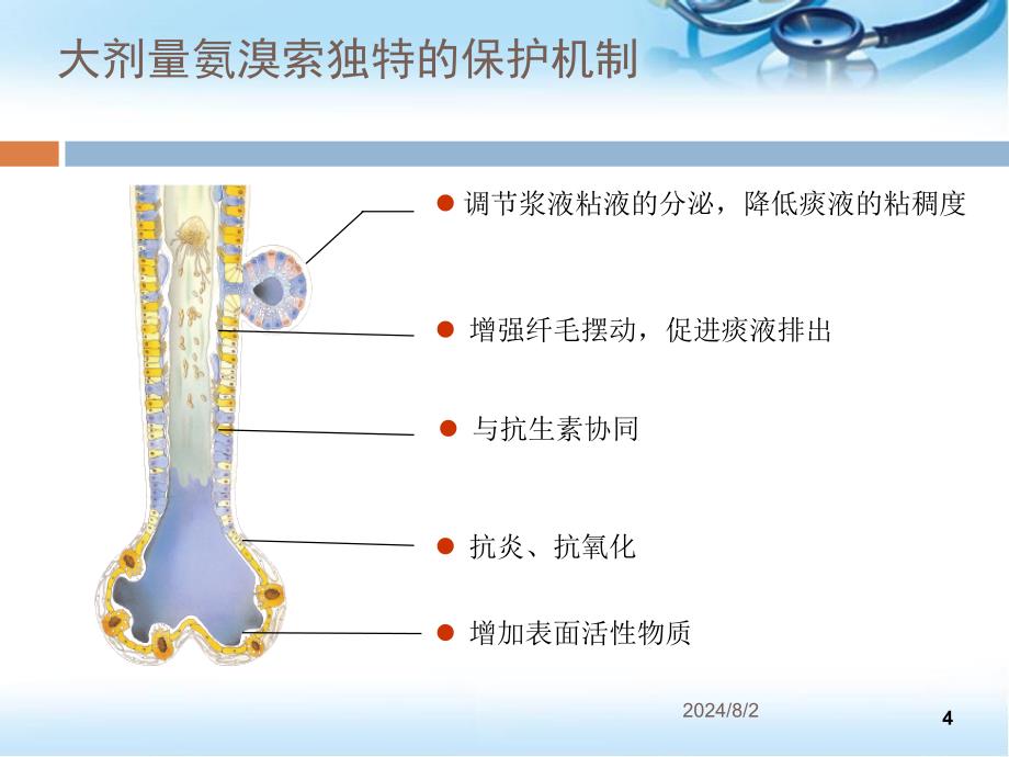 大剂量氨溴索治疗经验ppt参考课件_第4页