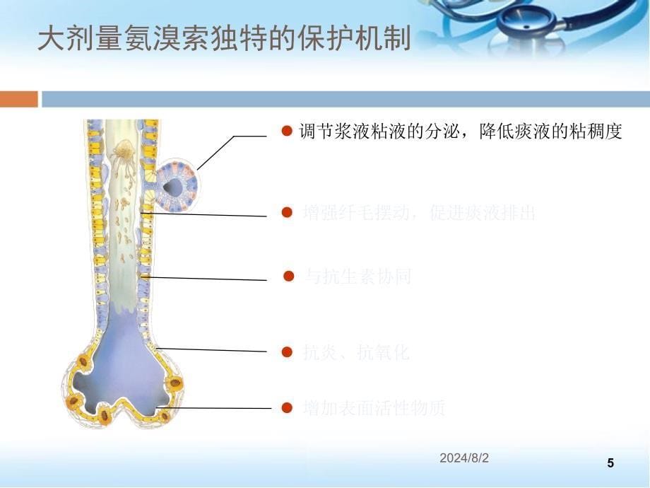 大剂量氨溴索治疗经验ppt参考课件_第5页