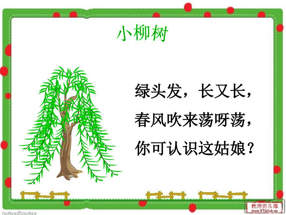 15、《小柳树和小枣树》课件_第1页