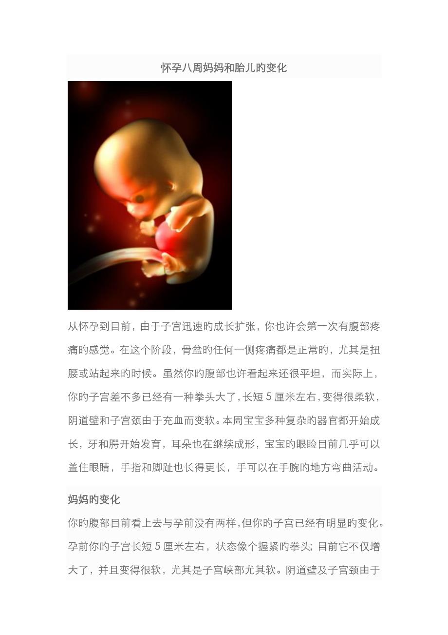 怀孕八周妈妈和胎儿的变化_第1页