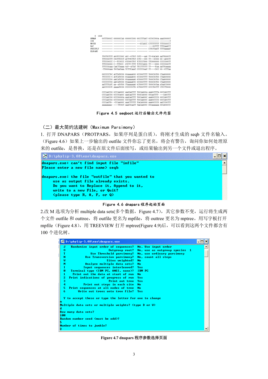 系统发育树构建教程(PHYLIP).doc_第3页