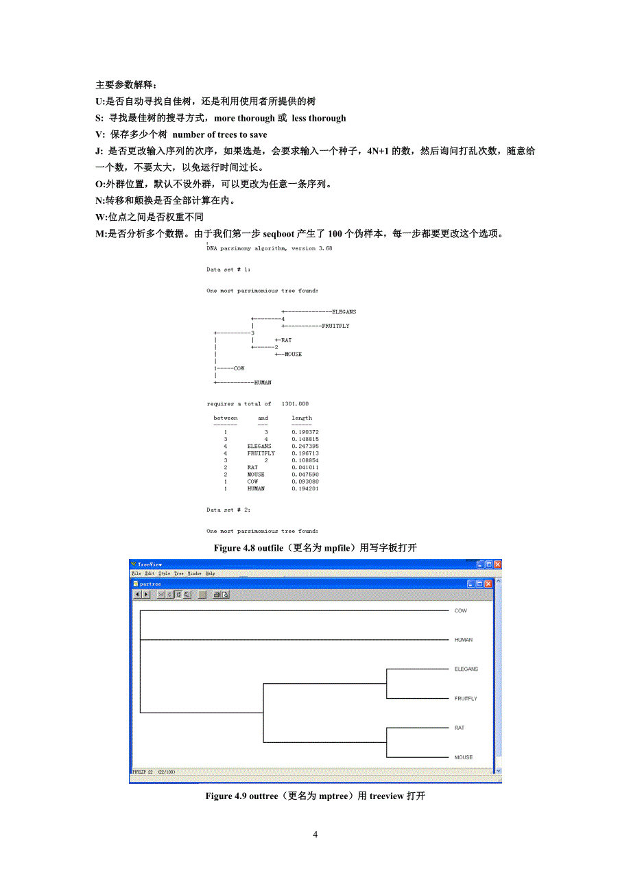 系统发育树构建教程(PHYLIP).doc_第4页