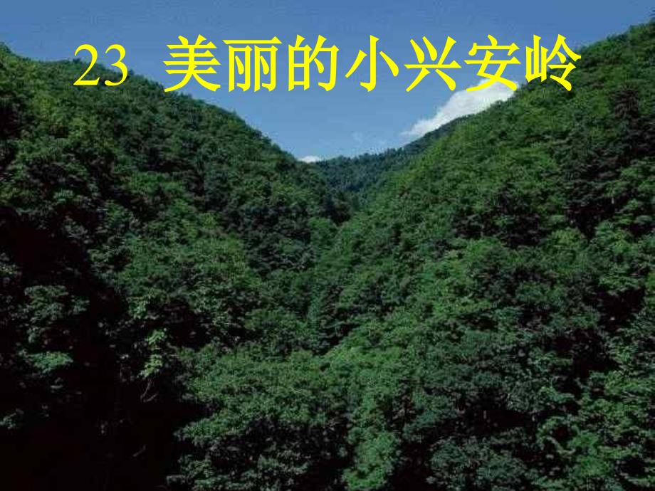 23、美丽的小兴安岭_第1页