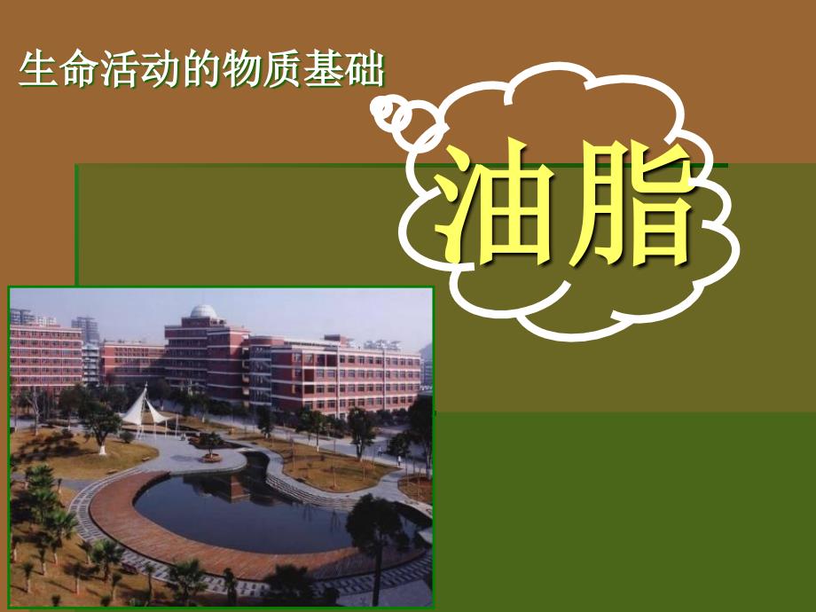 生命活动的物质基础油脂_第1页