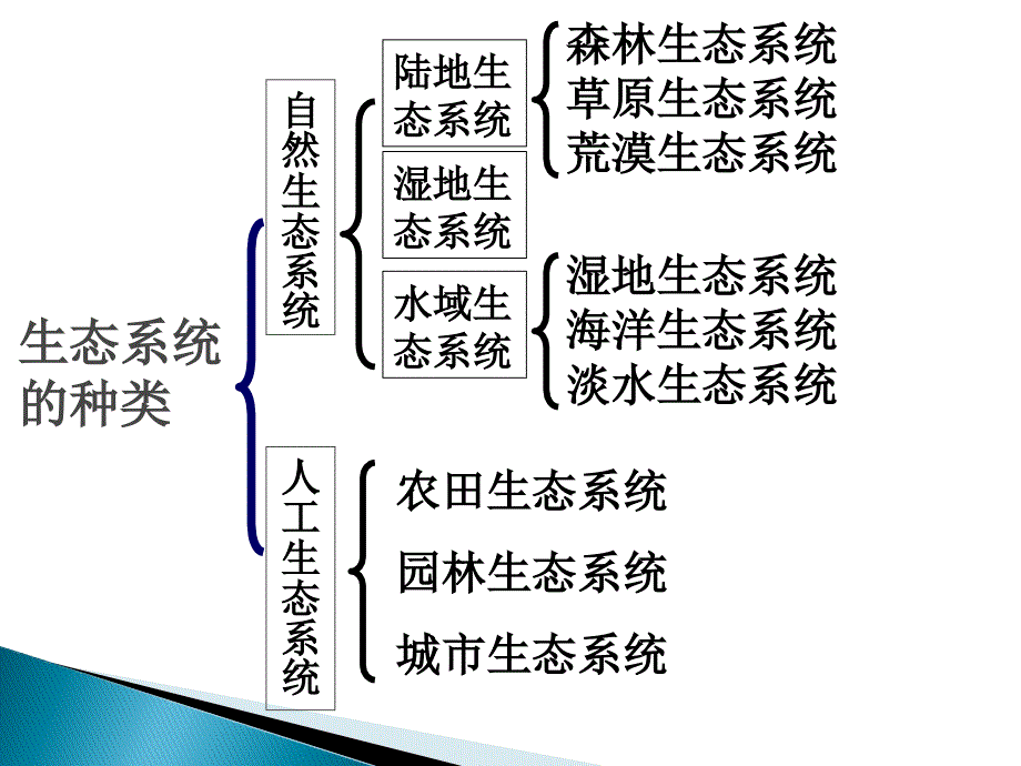 312多种多样的生态系统_第3页