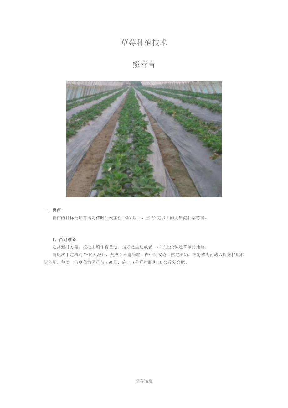 草莓种植方法Word版_第1页