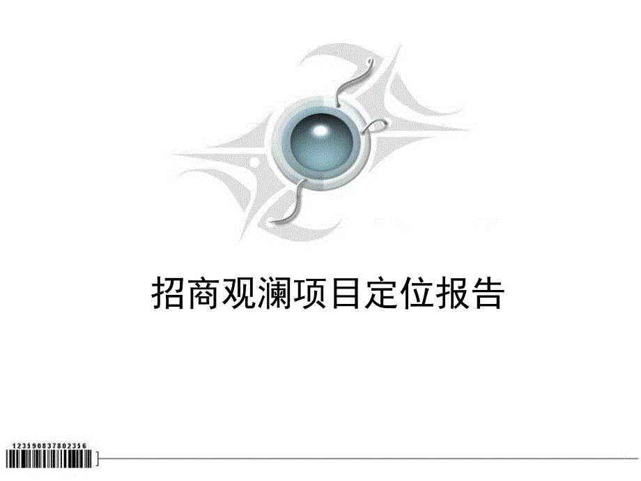 深圳招商地产观澜项目地块定位报告144页_第1页