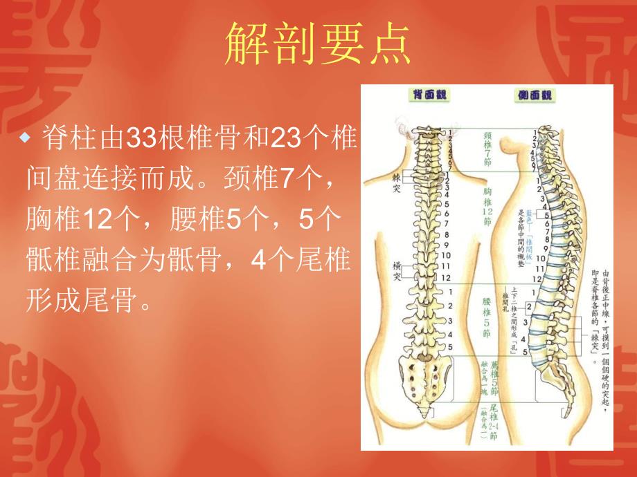 脊髓损伤的护理查房_第3页