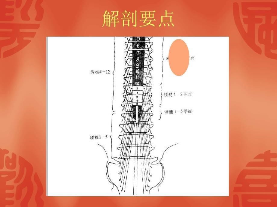 脊髓损伤的护理查房_第5页