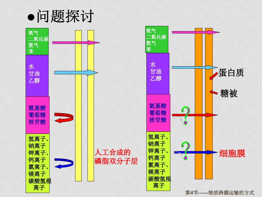 高中生物物质跨膜运输的方式被动运输课件人教版必修1_第3页