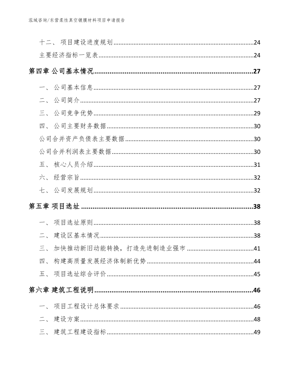 东营柔性真空镀膜材料项目申请报告_第2页