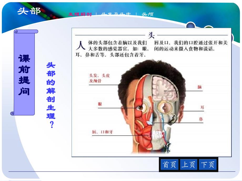 头颈部评估PPT课件_第2页