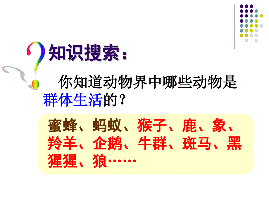 人教版生物八年级下册教学课件第五单元第二章第三节社会行为_第3页