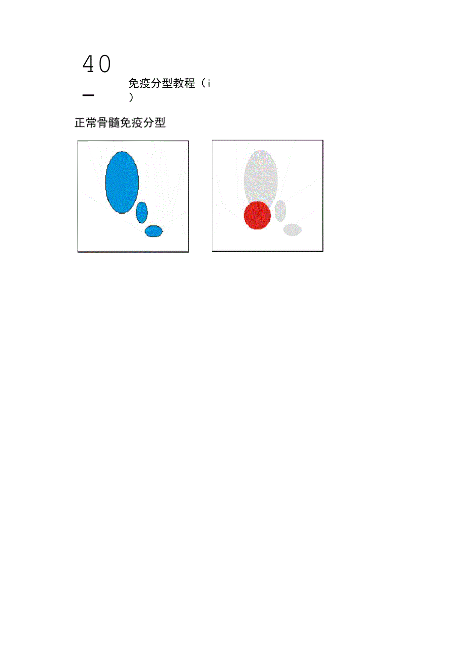 免疫分型教程_第1页