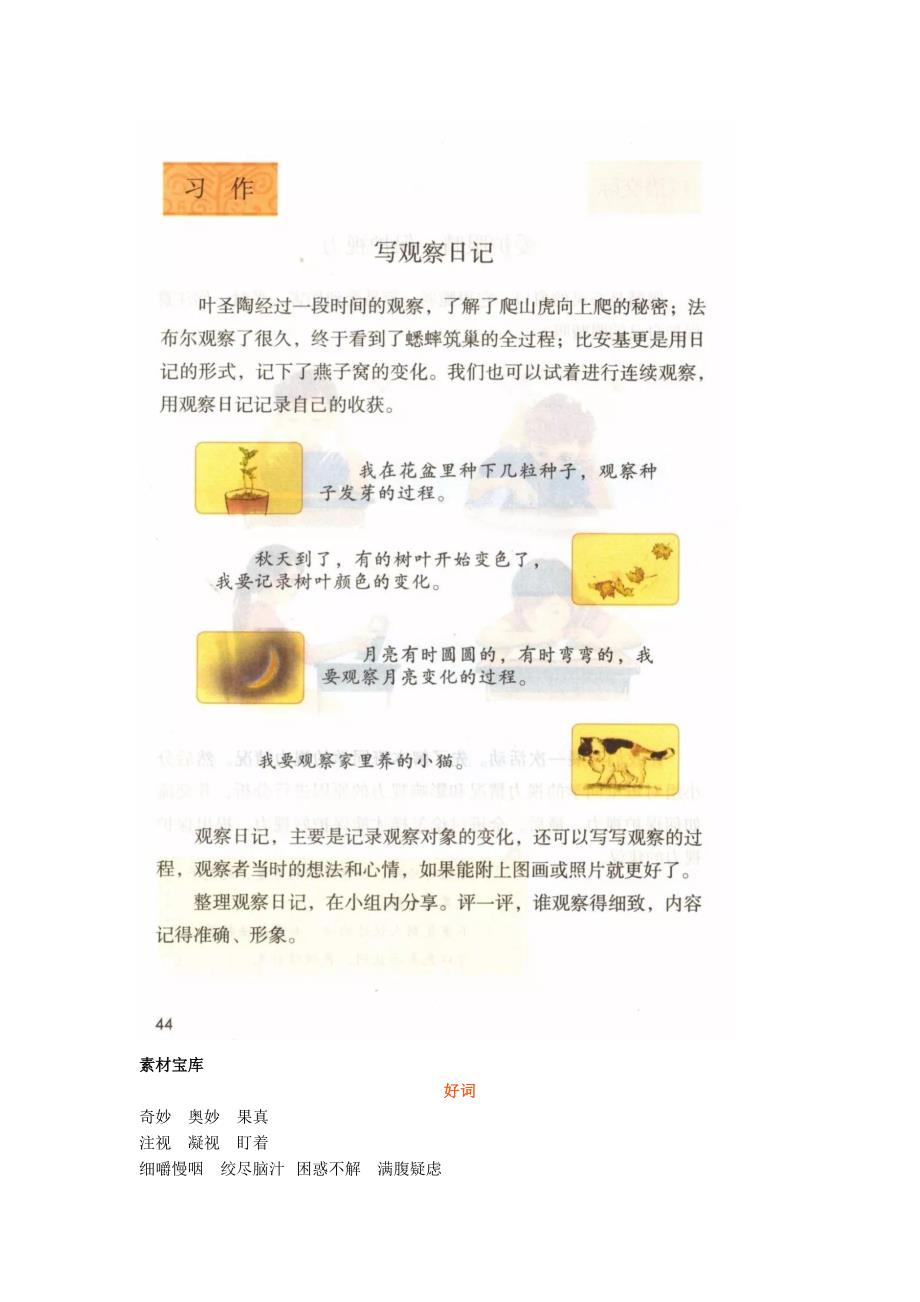 【小学语文】部编版四年级上册语文第三单元《观察日记》作文素材+范文.docx_第1页