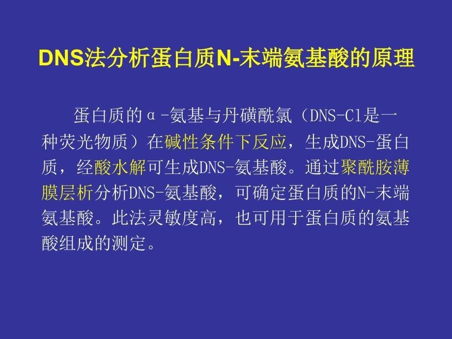 生物化学实验课件：实验五 DNS法分析蛋白质N-末端氨基酸_第5页