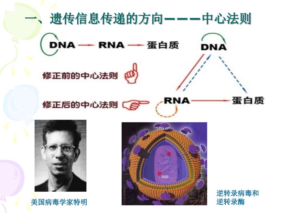 分子生物学基础_第2页