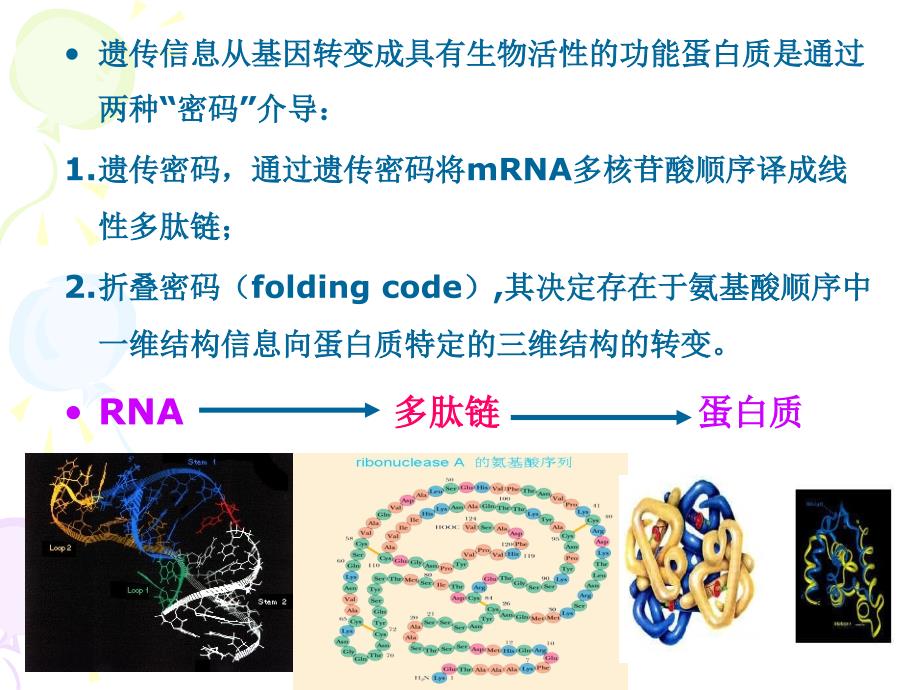 分子生物学基础_第4页