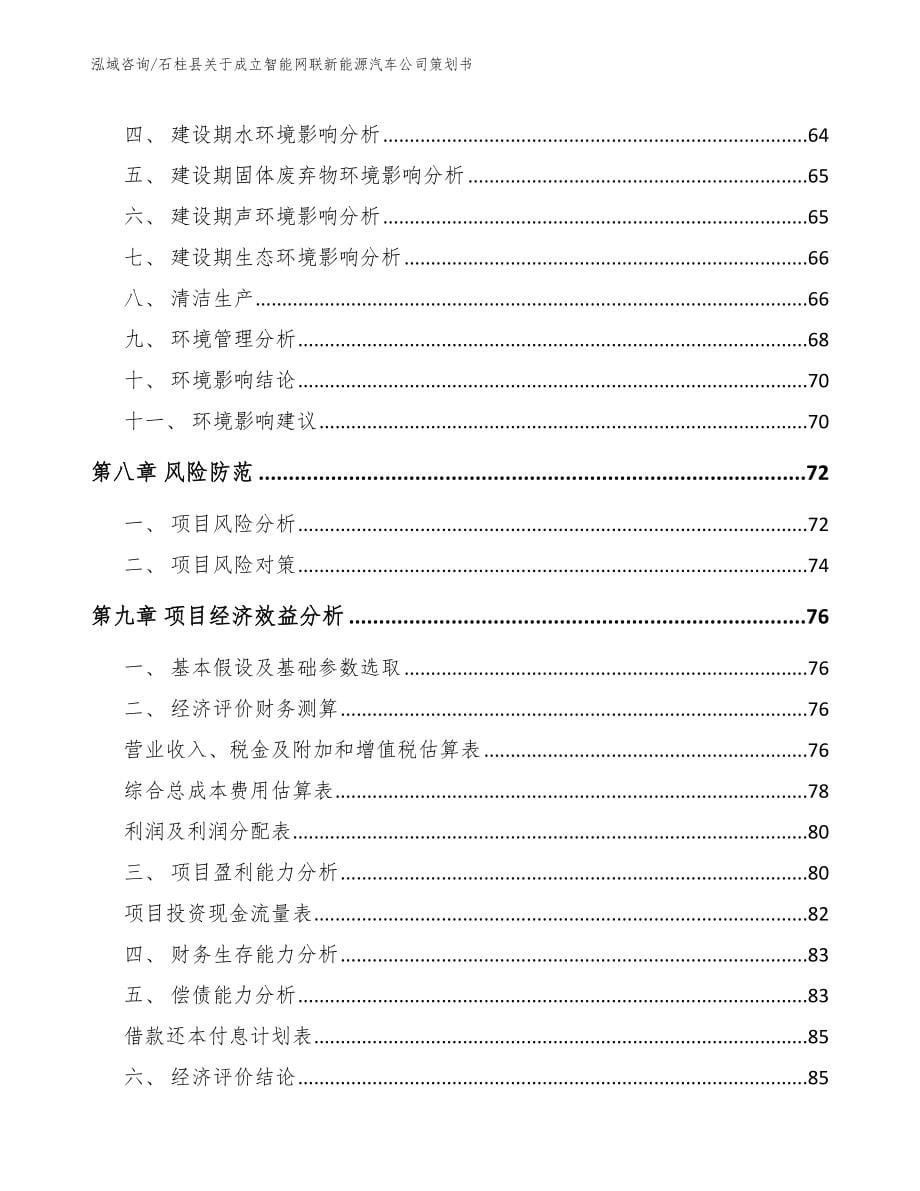 石柱县关于成立智能网联新能源汽车公司策划书_范文_第5页