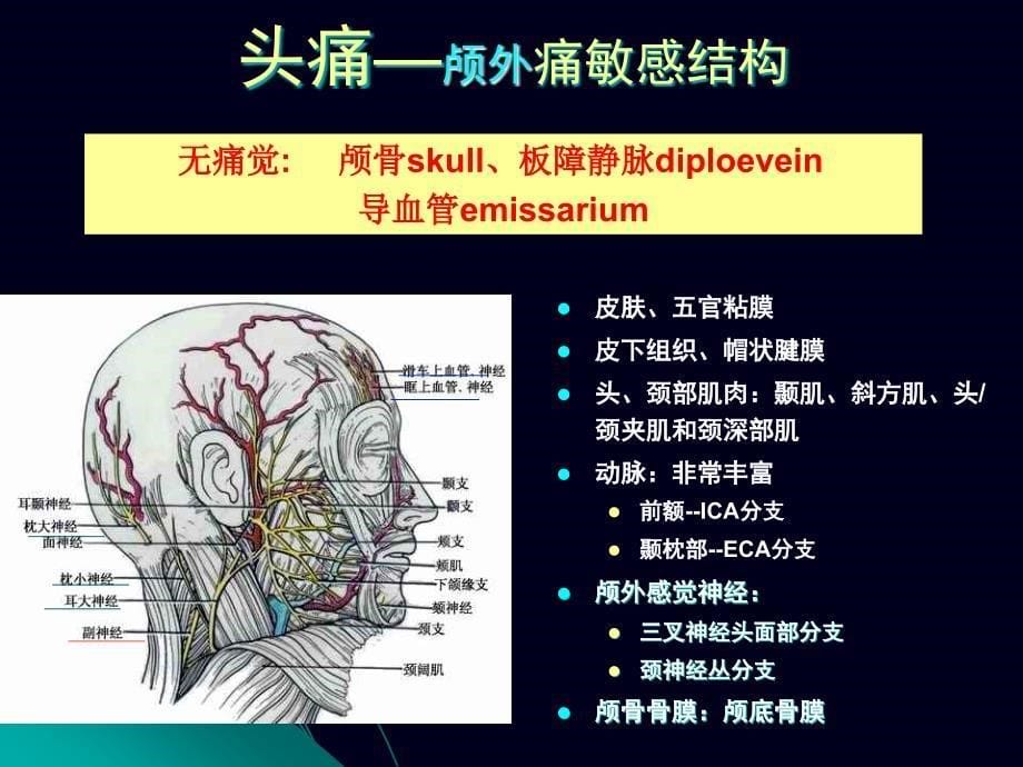 神经系统常见症状PPT课件_第5页