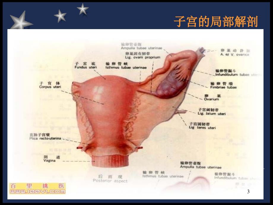 优质医学剖宫产术前术后的护理_第3页