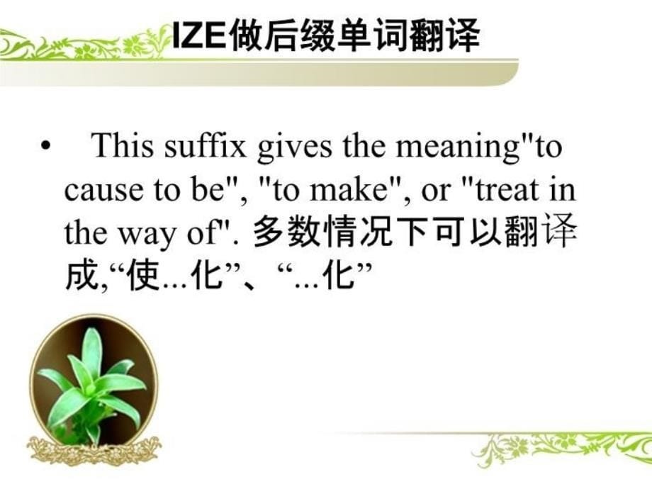 IZE后缀用法讲解课件讲课讲稿_第5页