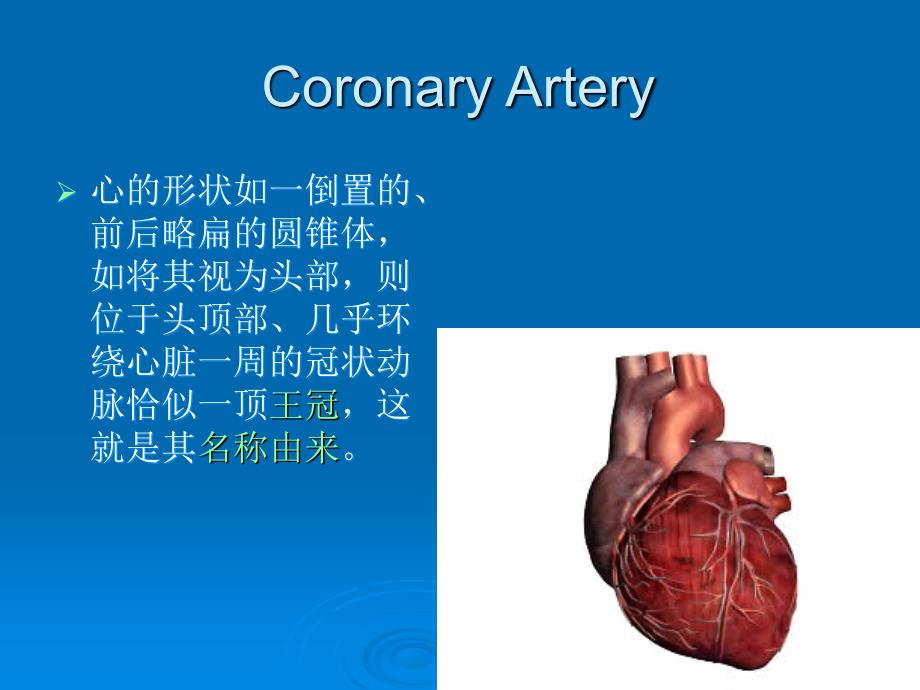冠状动脉的ct解剖PPT课件_第4页