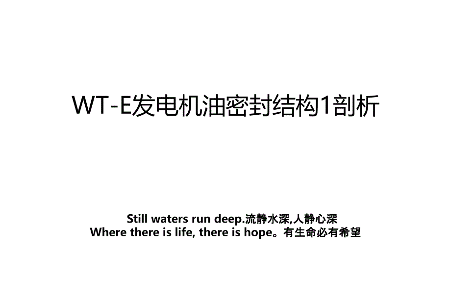 WTE发电机油密封结构1剖析说课讲解_第1页