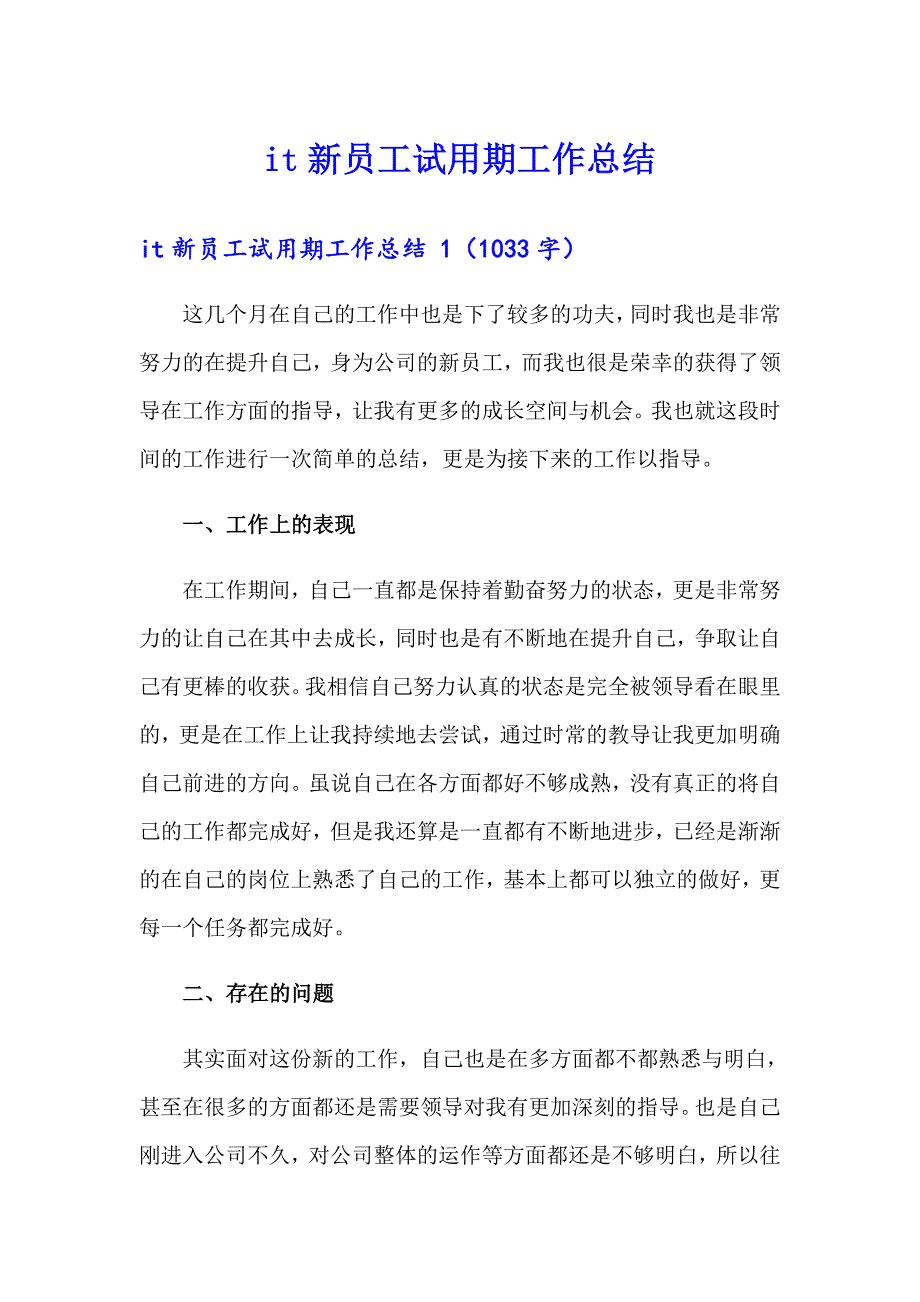 it新员工试用期工作总结_第1页