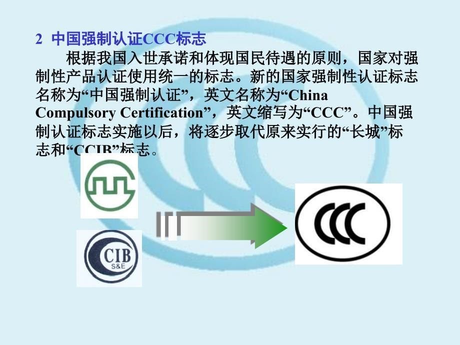 C安全认证基础知识_第5页