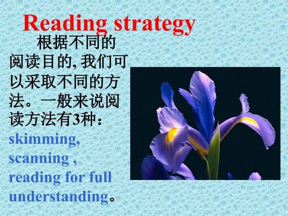 Module1Unit1SchoolLifeReading共41张PPT_第5页