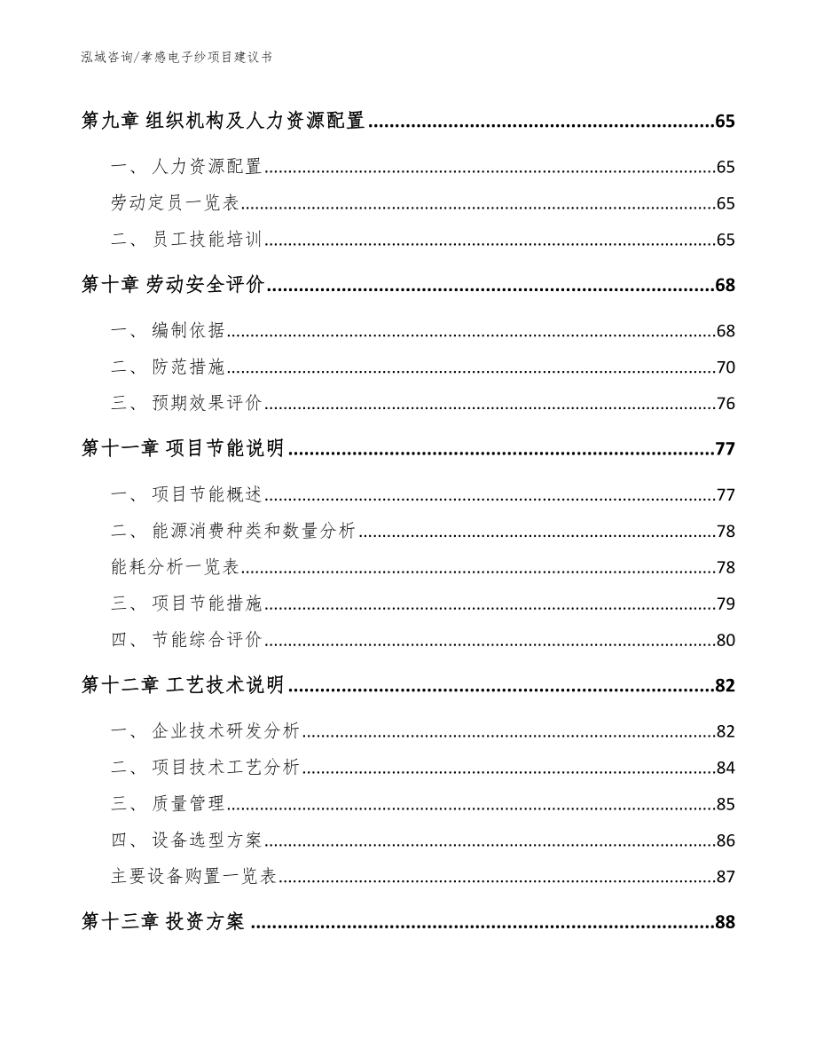 孝感电子纱项目建议书【模板范本】_第4页