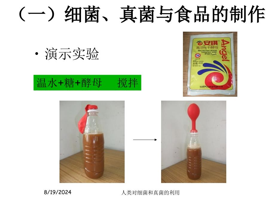 第五部分第二部分人类对细菌和真菌的利用第一课时教学课件_第2页