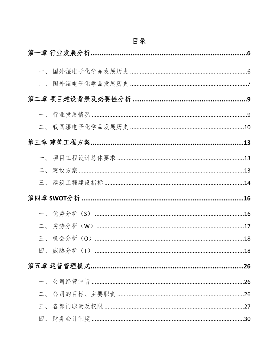 辽宁电子化学品项目可行性研究报告(DOC 85页)_第1页