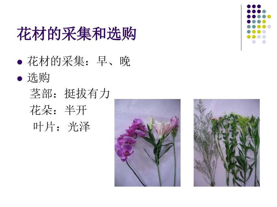 《插花和花艺设计》PPT课件_第4页