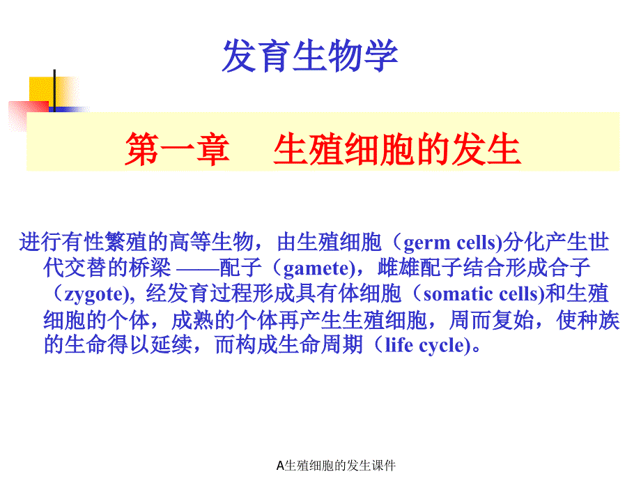 A生殖细胞的发生课件_第1页