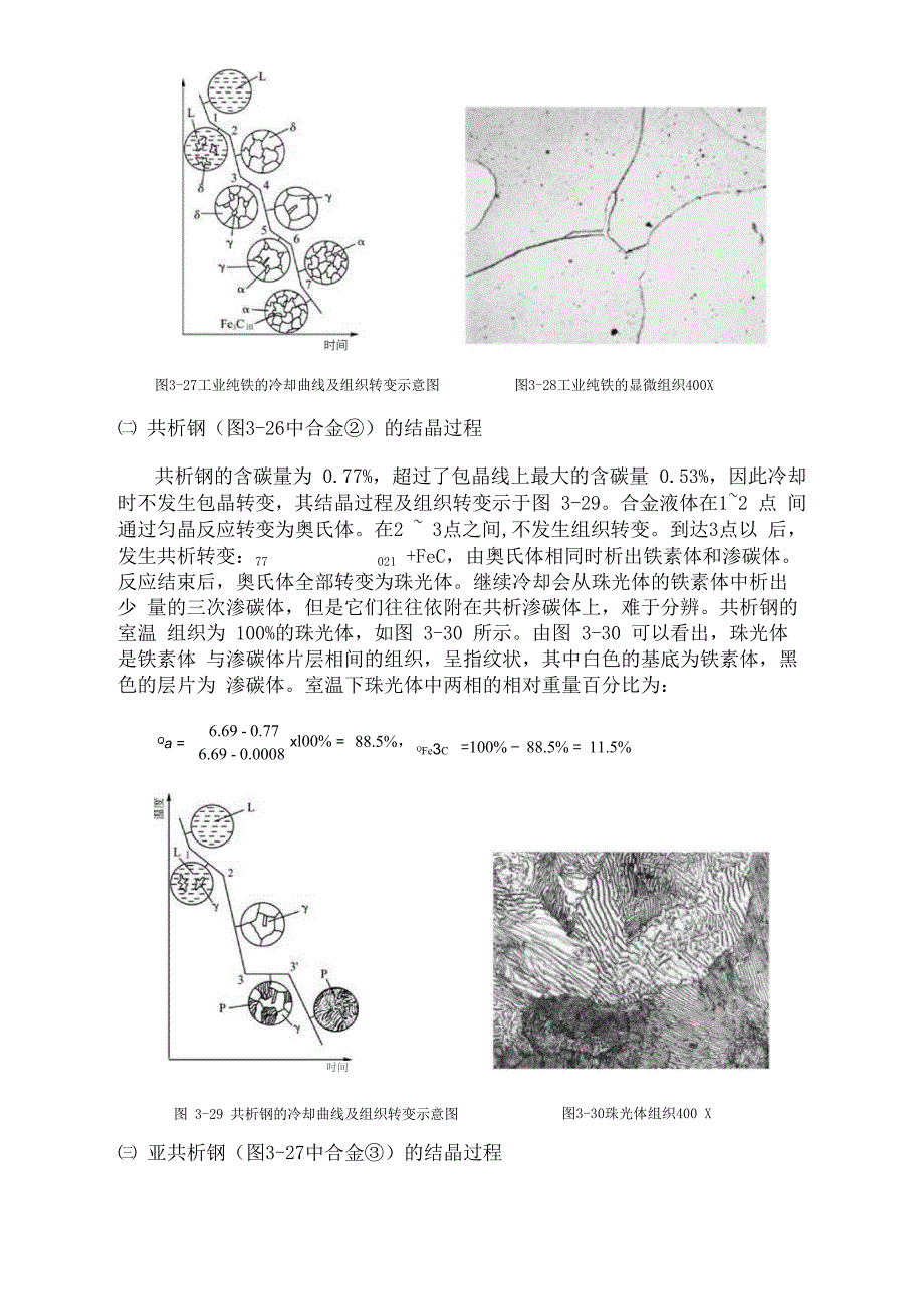 铁碳合金的平衡结晶过程_第2页