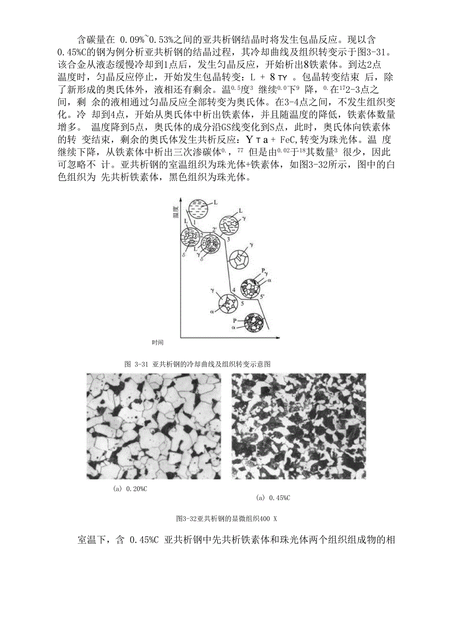 铁碳合金的平衡结晶过程_第3页