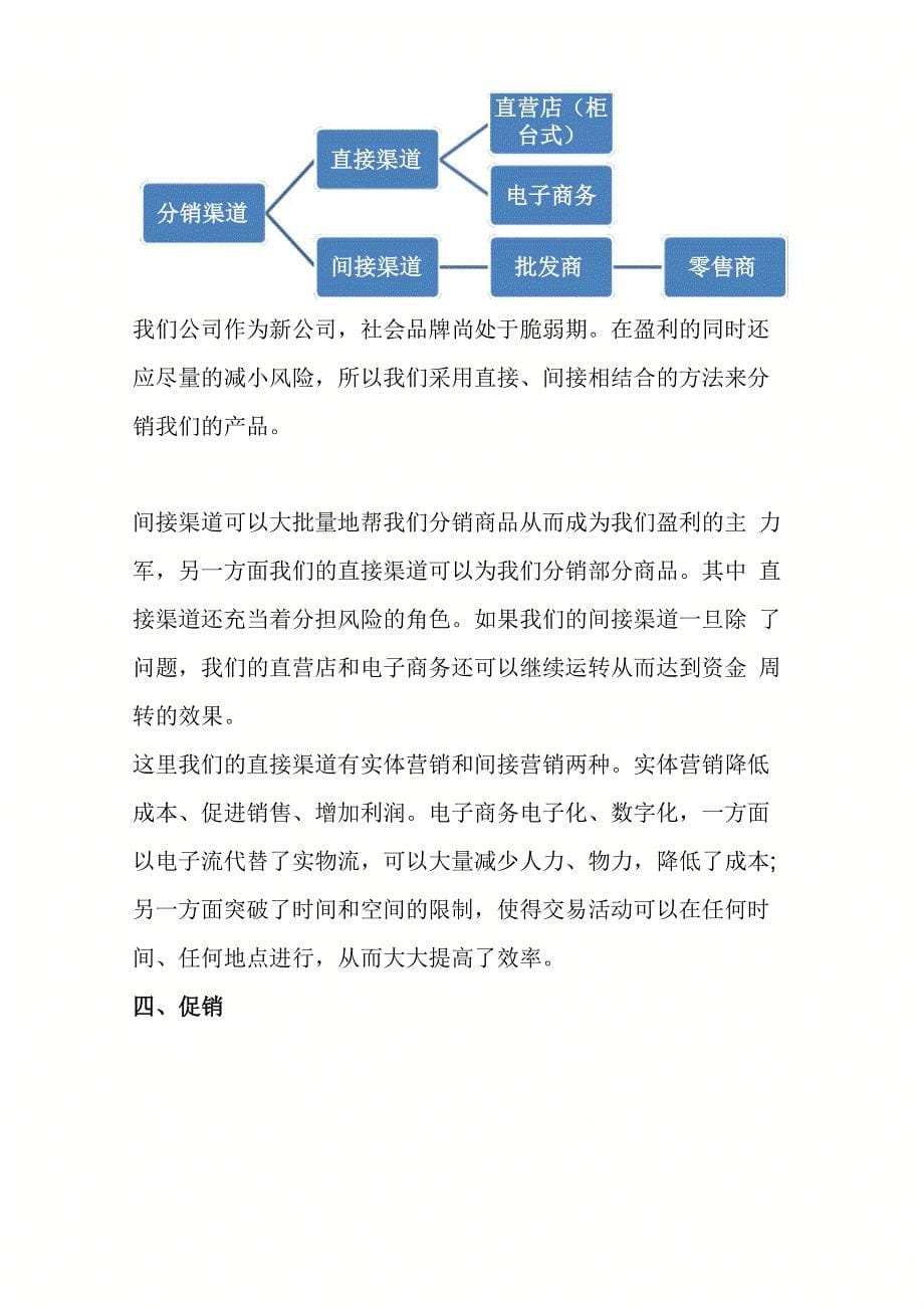 营销策划4P组合_第5页