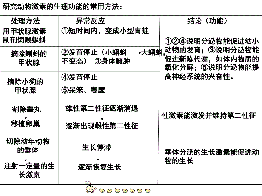 动物激素的生理作用.ppt_第1页