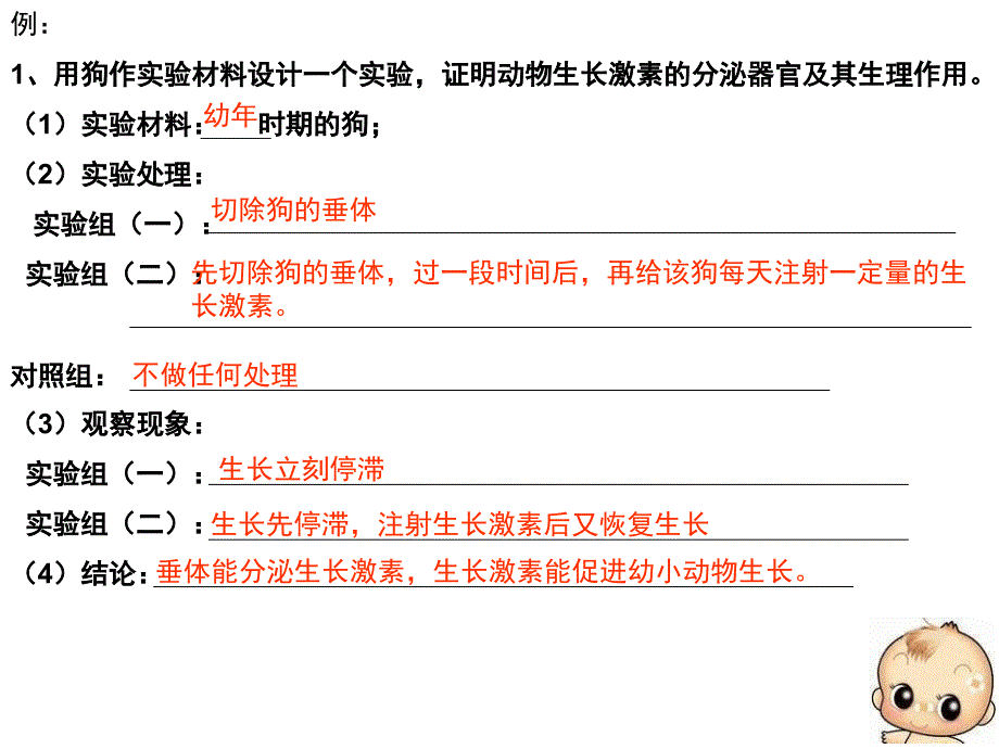 动物激素的生理作用.ppt_第2页