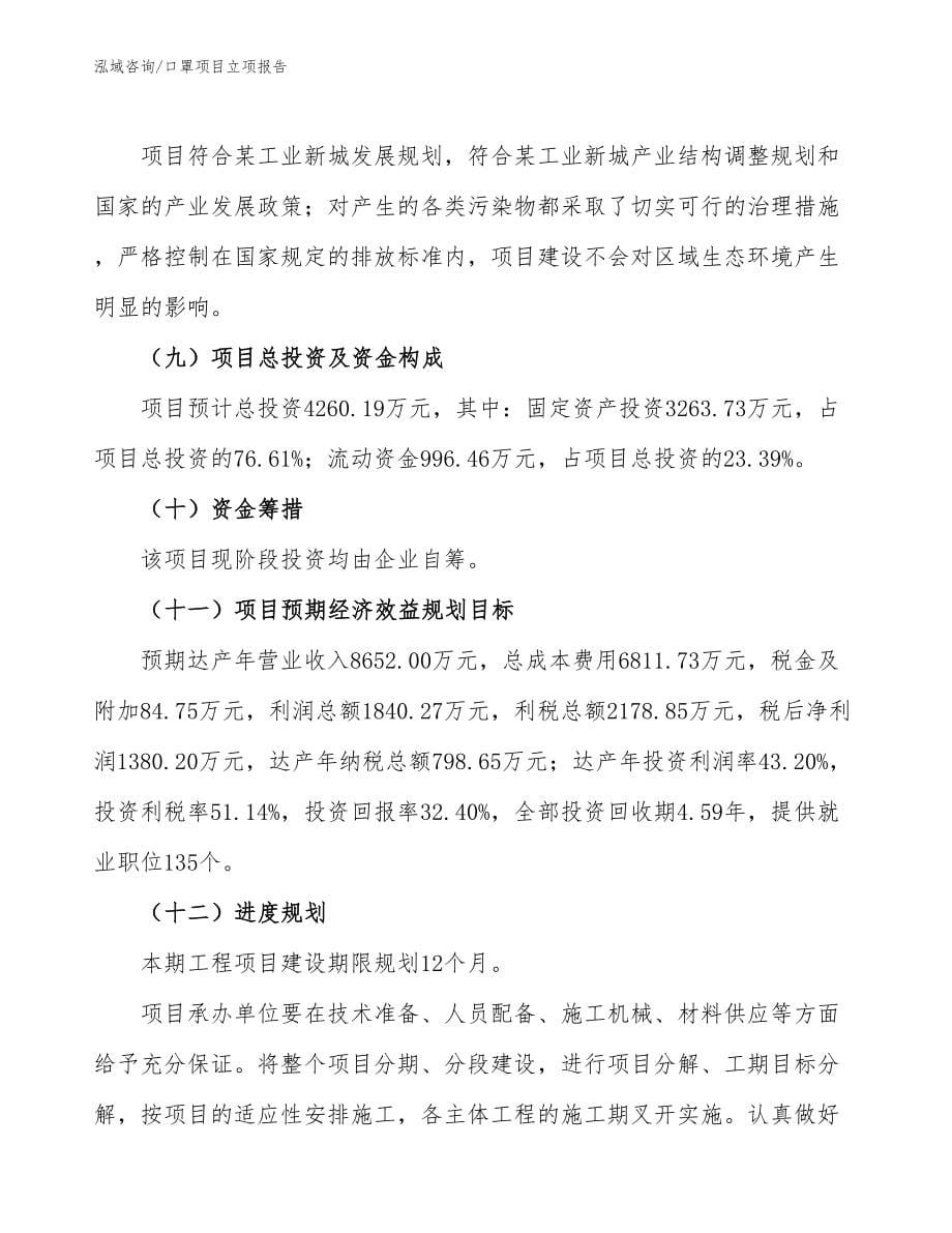 口罩项目立项报告_第5页